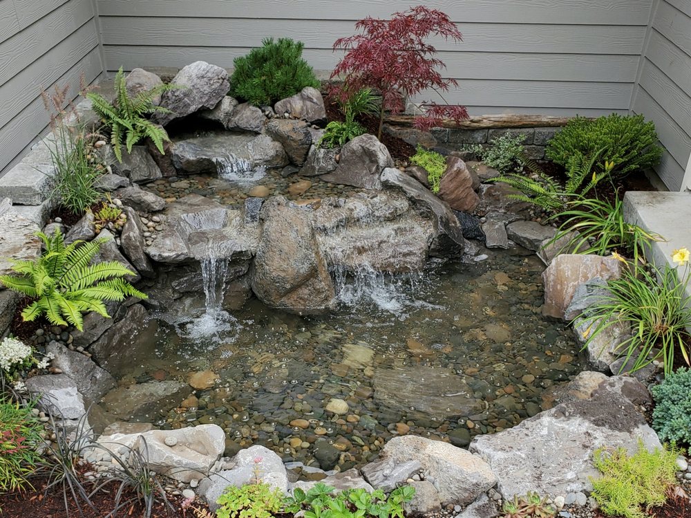 NEW TERRA LANDSCAPE & DESIGN Updated September 2024 28 Photos