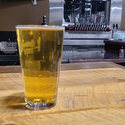 Bullmastiff Brewing