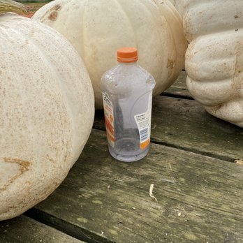 Maan Farms - More garbage - Farmers Market Near Me - Abbotsford, British Columbia
