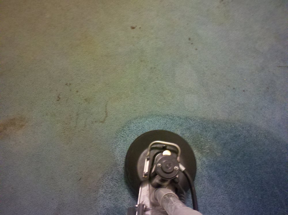 CLASS ACT CARPET CLEANING Updated July 2024 137 Val Vista Dr