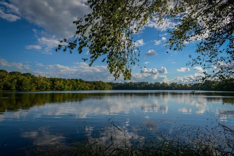 Willingboro Lakes Parks Image
