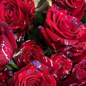 Secret Gardens - Florists Near Me - Charlottesville, Virginia