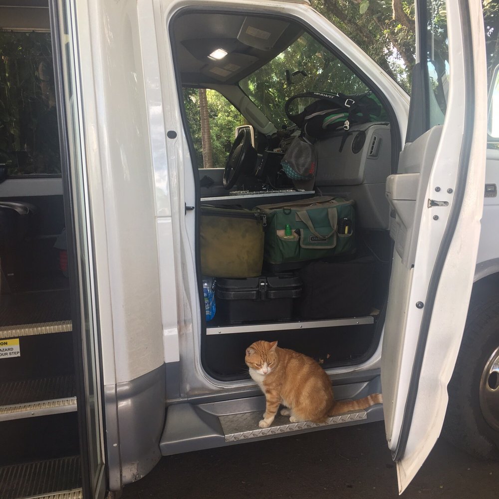 Valley Isle Excursions - Historical Tours Near Me - Wailuku, Hawaii