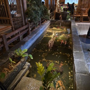 Mountain House - Nice koi pond with some big kois in there - Szechuan Near Me - Rowland Heights, California Mountain House - Nice koi pond with some big kois in there - Szechuan Near Me - Rowland Heights, California