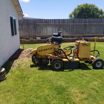 San Diego Tree Care - The "little" stump grinder - Tree Services Near Me - San Diego, California San Diego Tree Care - The "little" stump grinder - Tree Services Near Me - San Diego, California
