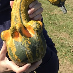 Unique gourds!! Unique gourds!!