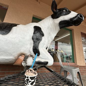 Mooos Creamery - Ice Cream & Frozen Yogurt Near Me - Yuma, Arizona Mooos Creamery - Ice Cream & Frozen Yogurt Near Me - Yuma, Arizona
