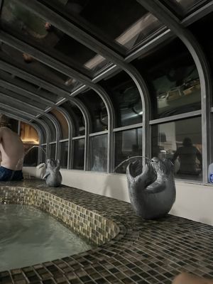 Bozeman Hot Springs by null