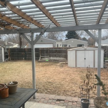 Taylor Tree Removal Company - Tree Services Near Me - Denver, Colorado Taylor Tree Removal Company - Tree Services Near Me - Denver, Colorado