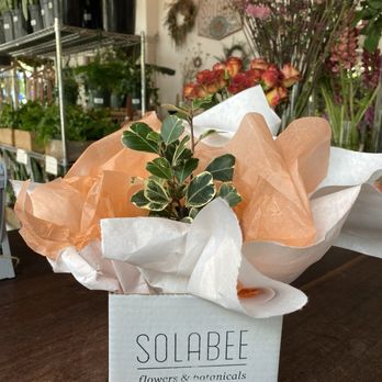 Solabee Flowers & Botanicals - Florists Near Me - Portland, Oregon