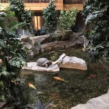 C'mon Inn - Koi pond. Nice touch - Hotels Near Me - Billings, Montana