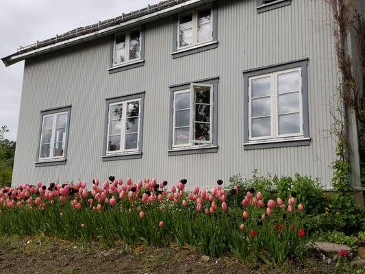 Arctic–Alpine Botanic Garden by null