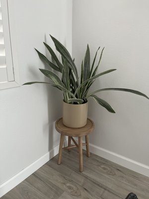 The Living Room by null