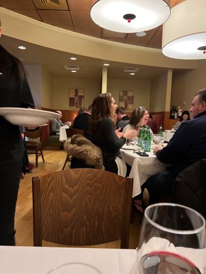 Angelo's Pizzeria & Ristorante by null