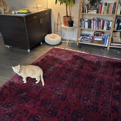 Top Menage - This photo shows how our team cleaned the carpet