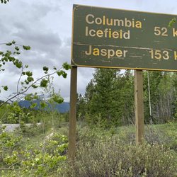 Icefields Parkway - A sign with mileage count.