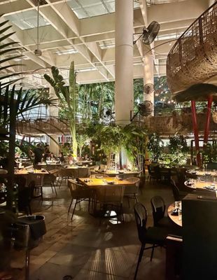 Komodo Miami by null