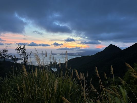 Victoria Peak by null