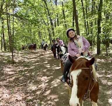 Woodstone Meadows Stables - equestrian in Mc Gaheysville, VA