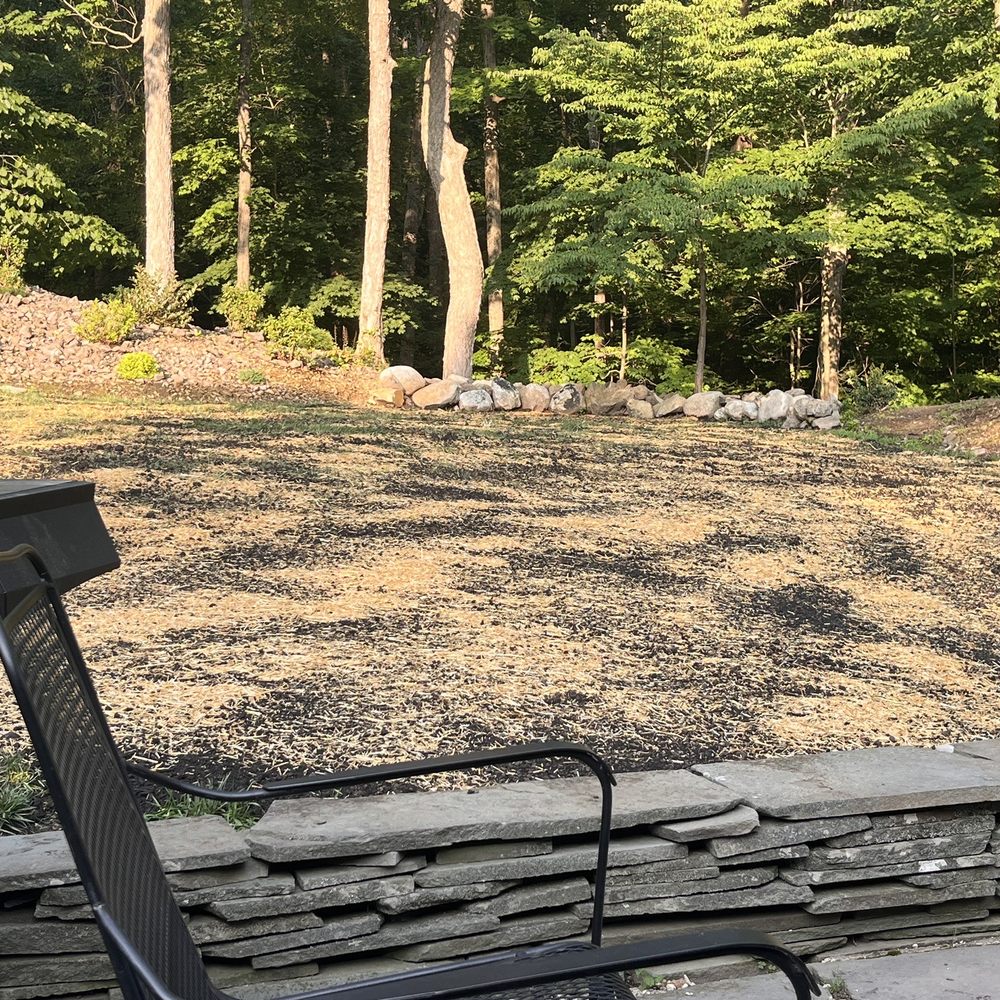 One Call NJ - a view of the back yard of a home - Landscaping Near Me