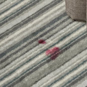 Leonardo Hotel Brighton - Greeted with this after being checked into my "cleaned" room. - Hotels Near Me - Brighton, BNH Leonardo Hotel Brighton - Greeted with this after being checked into my "cleaned" room. - Hotels Near Me - Brighton, BNH