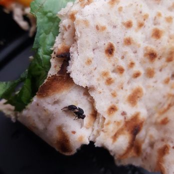 Chick-fil-A - I found a dead fly... - Fast Food Near Me - Riverside, California