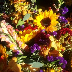 Lily's - Fall in a vase!