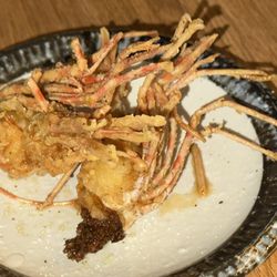 Sushi Tomoki - Shrimp Heads from Sweet Shrimp Sushi