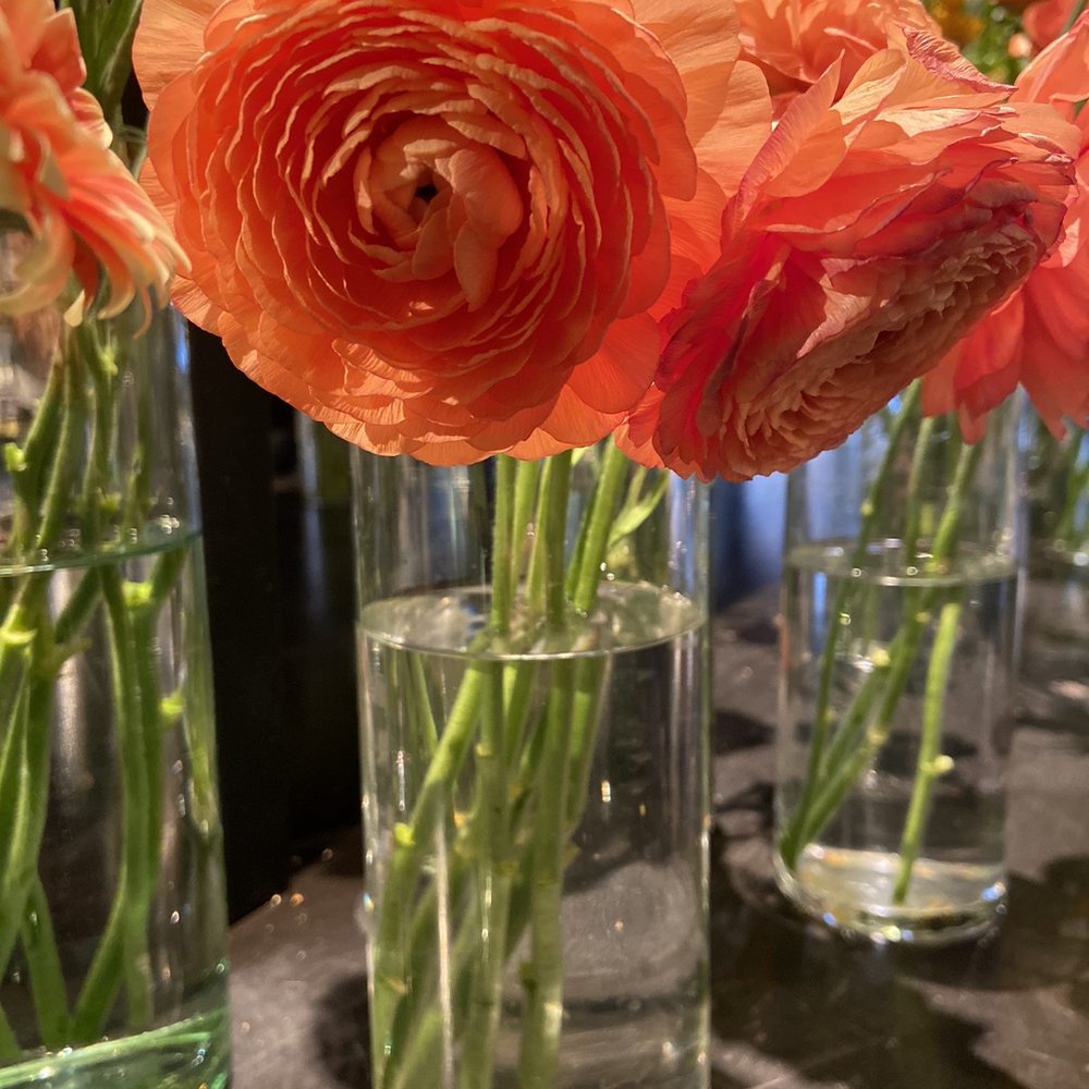 Asrai Garden - Florists Near Me - Chicago, Illinois Asrai Garden - Florists Near Me - Chicago, Illinois