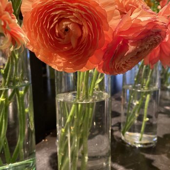 Asrai Garden - Florists Near Me - Chicago, Illinois Asrai Garden - Florists Near Me - Chicago, Illinois