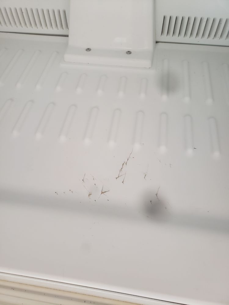 PROSPECT POINTE APARTMENTS Updated August 2024 127 Prospect St