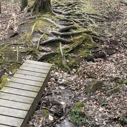 Sunrise Park - Good example of the trail - wear good hiking shoes.