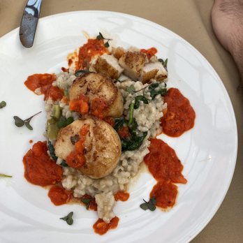 Robins Restaurant - Scallops special - New American Near Me - Cambria, California Robins Restaurant - Scallops special - New American Near Me - Cambria, California