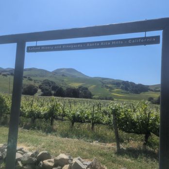 Artisan Excursion Wine Tours - Transportation Near Me