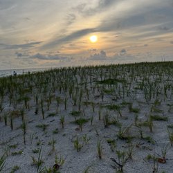 Sunset Beach - New Sea Oats