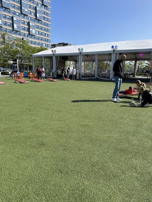 the Lawn on D by null