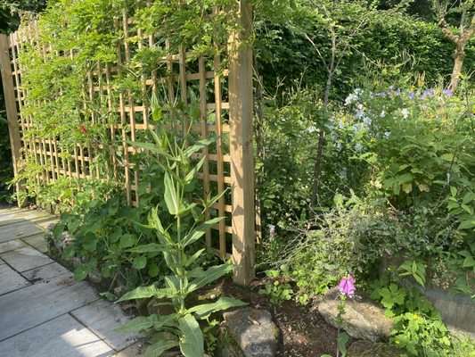 The Hollist Arms by null