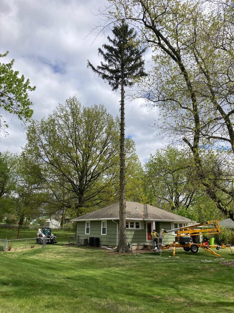 Bree Tree Care - tree service in Delavan, IL