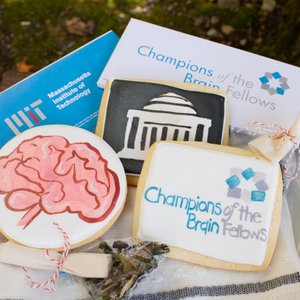 Photo of Oakleaf Cakes - Boston, MA, United States. Cookies and tea bags in front were custom made by Oakleaf. Super cute and very tasty!