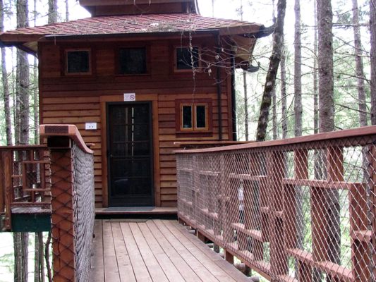 Vertical Horizons Treehouse Paradise by null
