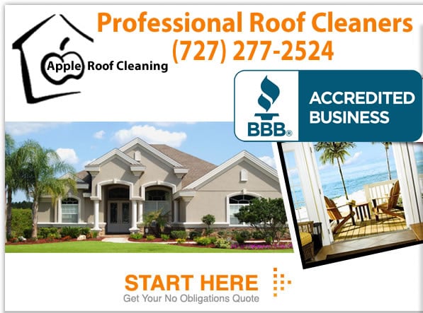 Slide of Apple Roof Cleaning