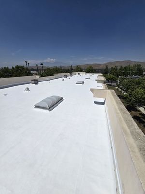Luna Roof Repair