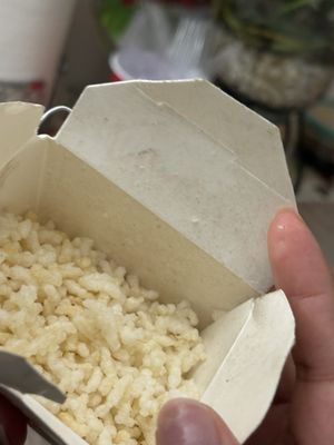 Canton | Chinese Restaurant by null