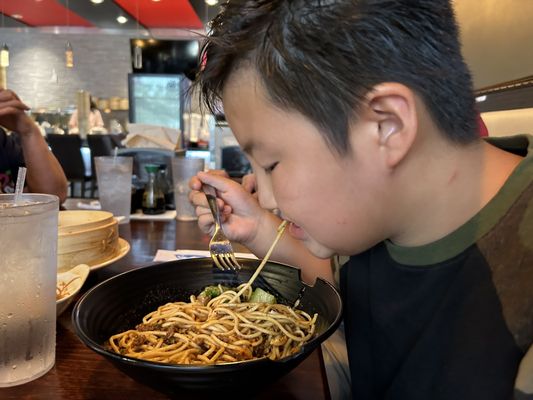 Dumplings Noodles by null