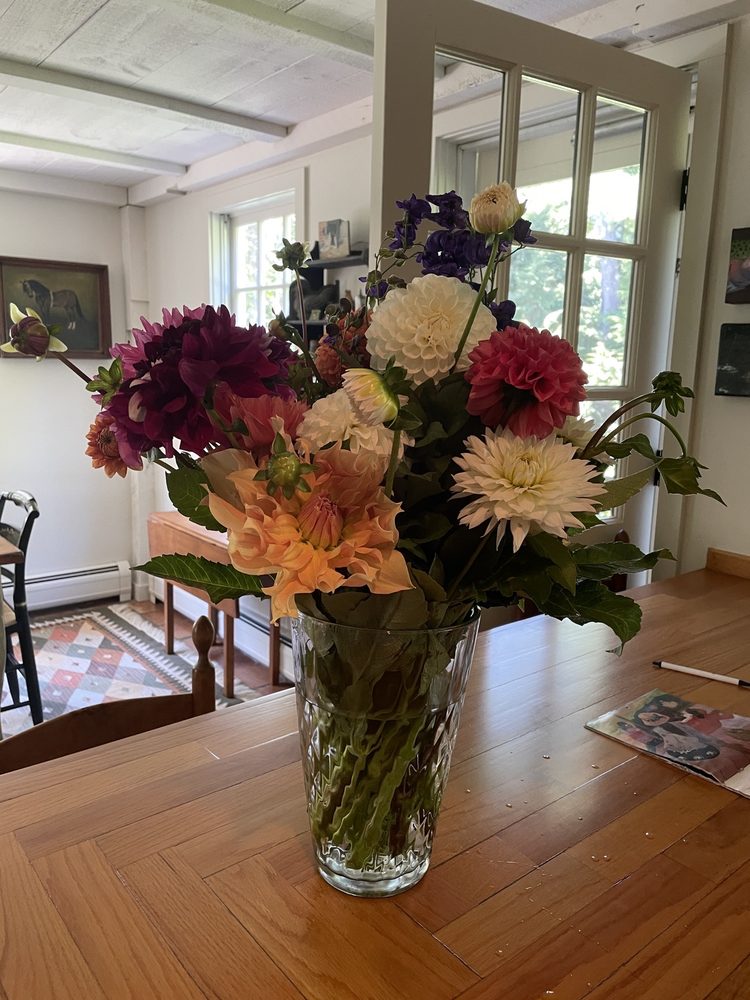 ALICE’S FLOWER GARDEN Updated September 2024 1536 E Manchester Rd, Manchester Center