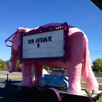 Ducky's Express Wash - Someone needs to address the elephant in the parking lot. - Car Wash Near Me - Vincennes, Indiana Ducky's Express Wash - Someone needs to address the elephant in the parking lot. - Car Wash Near Me - Vincennes, Indiana