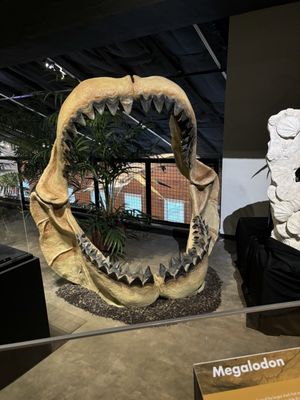 Houston Museum of Natural Science at Sugar Land by null