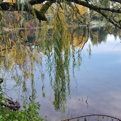 Angle Lake RV Park
