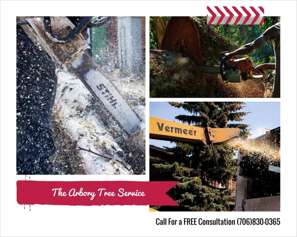 The Arbory Tree Service - tree service in Augusta, GA