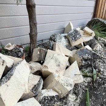 Jaime’s landscaping - Tree debris left in yard. - Landscaping Near Me - Fremont, California Jaime’s landscaping - Tree debris left in yard. - Landscaping Near Me - Fremont, California